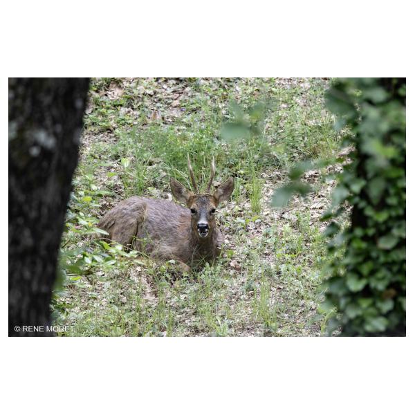 PHOTO84, CLUB, 84 , LUBERON